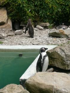 Výlet ZOO Lešná 2013